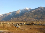 005.Châtaignier, la plaine et vue sur la Pierre Avoi, janvier 2001