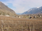 014.Le village de Saxé, entre vignes et plaine, février 2001