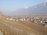 016.Châtaignier, entre vignes et plaine, février 2001
