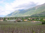 023.Saxé, la plaine, mai 2002