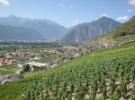 102.Le village de Branson, août 2009