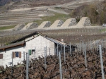101.Saxé, les &quot;Pyramides&quot; protection contre les ravines et avalanches, avril 2009